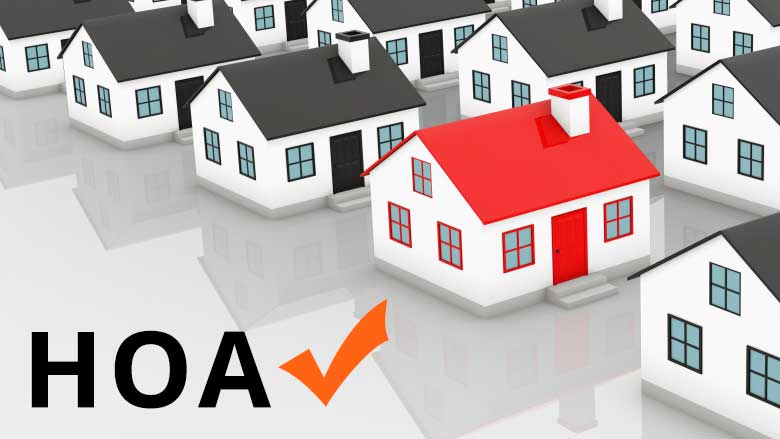color limitations with hoa